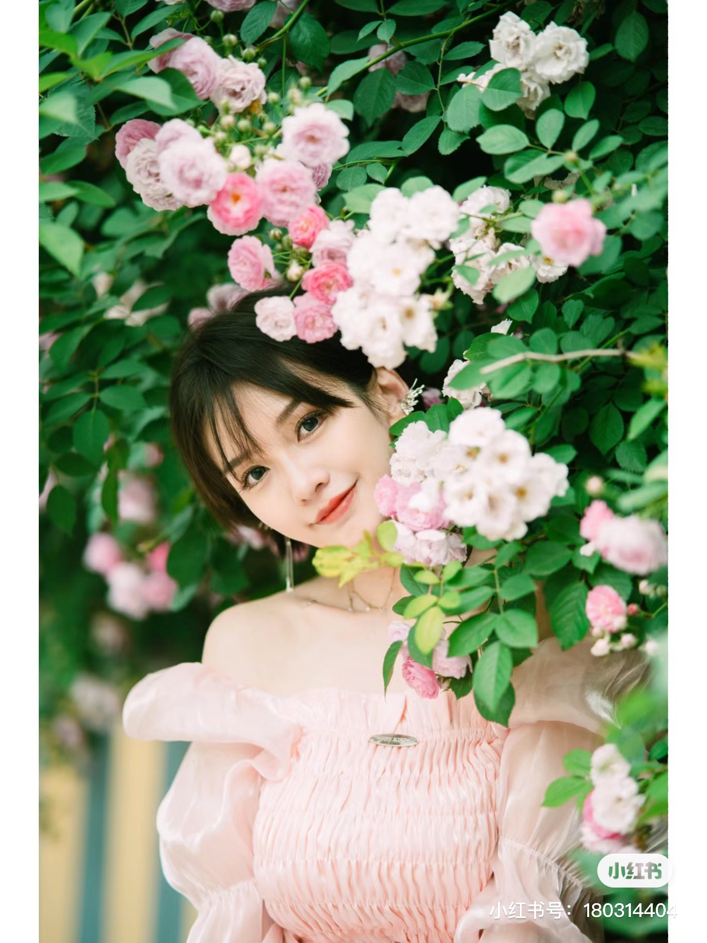 image-20240419075111894